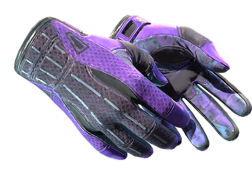 Sport Gloves | Pandora's Box