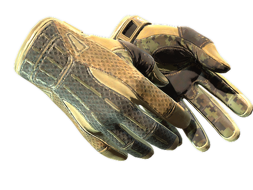 Sport Gloves | Arid
